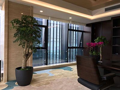 重慶江北嘴某集團公司整棟樓植物租擺案例